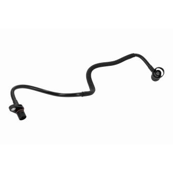 Tuyau, ventilation de carter-moteur VAICO V20-5145