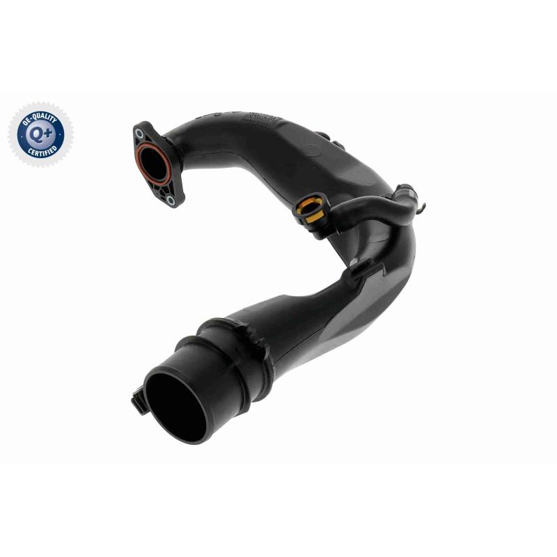 Gaine de suralimentation VAICO V46-1683 - Visuel 1