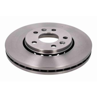 Jeu de 2 disques de frein avant VAICO OEM 4422285