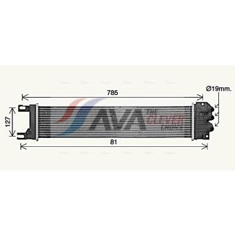 Radiateur, refroidissement du moteur AVA QUALITY COOLING OEM 5233007