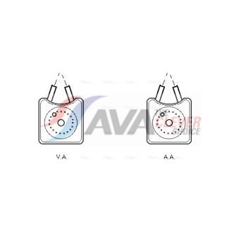 Radiateur d'huile AVA QUALITY COOLING OEM 068117021