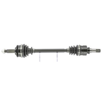 Arbre de transmission CEVAM OEM 434200D322