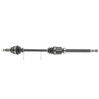 Arbre de transmission CEVAM OEM 391009996R Arbre de transmission CEVAM OEM 391009996R