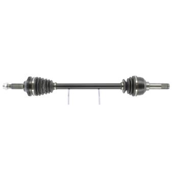 Arbre de transmission CEVAM 51568Z pour JAGUAR XJ V8 3.5 - 258cv