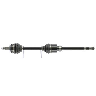 Arbre de transmission CEVAM 5596Z