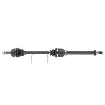 Arbre de transmission avant droit CEVAM OEM 391009864R