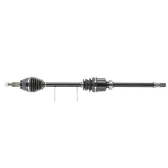 Arbre de transmission CEVAM OEM 391004850R