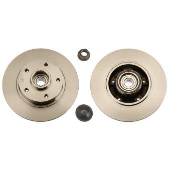 Jeu de 2 disques de frein arrière TRW OEM 432006506R