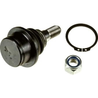 Rotule de suspension TRW JBJ1077 pour FORD TRANSIT 2.2 TDCi - 85cv