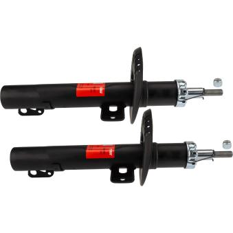 Jeu de 2 amortisseurs avant TRW [JGM306T]