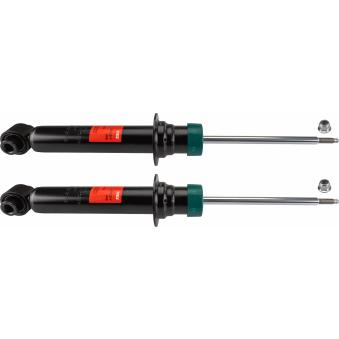 Jeu de 2 amortisseurs avant TRW [JGS227T]