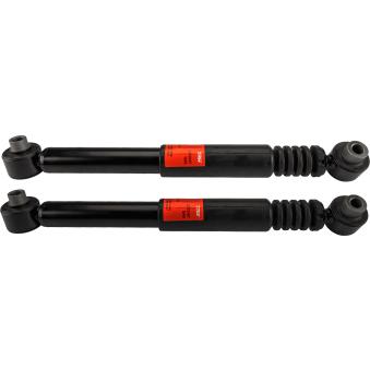 Jeu de 2 amortisseurs arrière TRW [JGT216T]