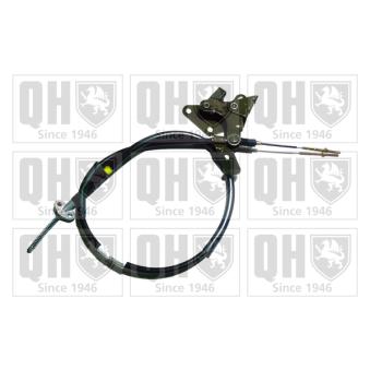 Tirette à câble, frein de stationnement QUINTON HAZELL OEM 3640021b00
