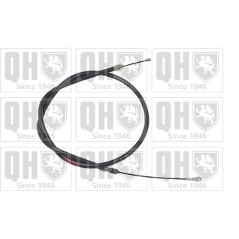Tirette à câble, frein de stationnement QUINTON HAZELL OEM 1234200285