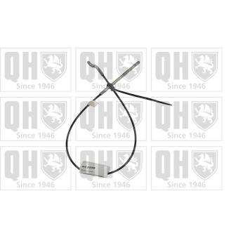 Tirette à câble, frein de stationnement QUINTON HAZELL [BC2599]