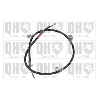 Tirette à câble, frein de stationnement QUINTON HAZELL OEM 365301N900