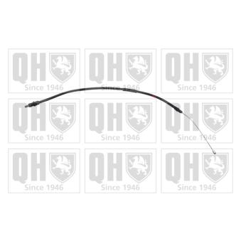 Tirette à câble, frein de stationnement QUINTON HAZELL [BC3769]