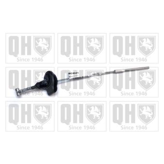 Tirette à câble, frein de stationnement QUINTON HAZELL [BC4321]