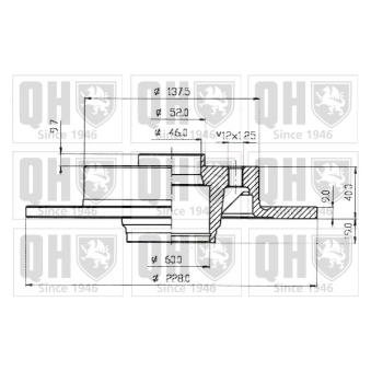 Jeu de 2 disques de frein arrière QUINTON HAZELL [BDC3566]
