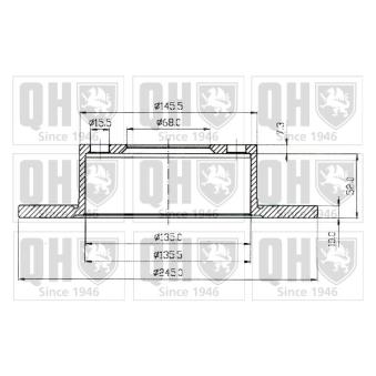 Jeu de 2 disques de frein arrière QUINTON HAZELL BDC3633