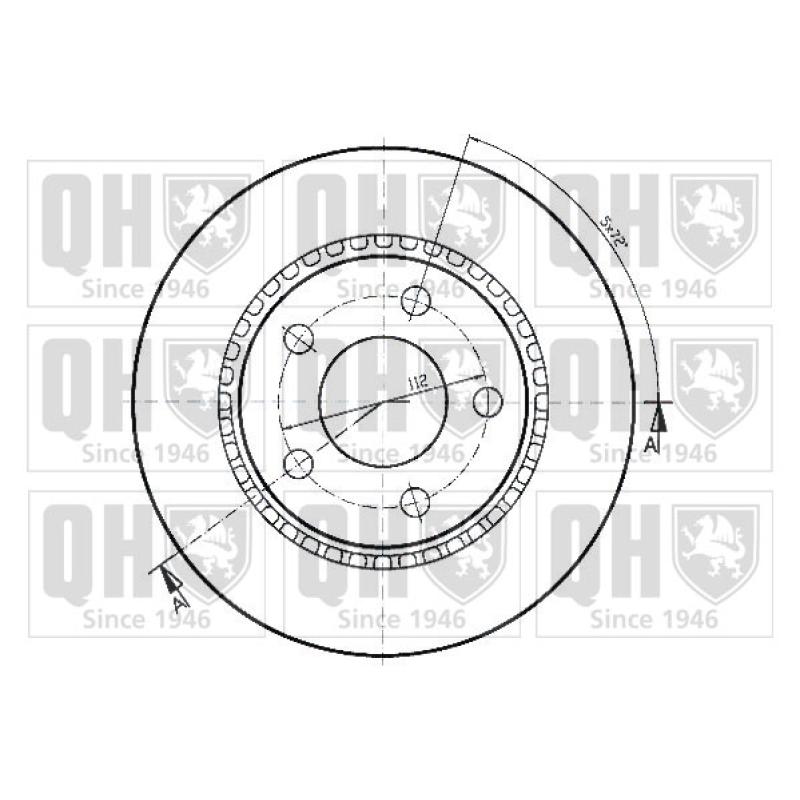 Jeu de 2 disques de frein arrière QUINTON HAZELL BDC3634 - Visuel 1