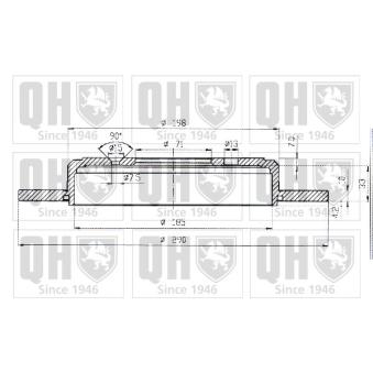 Jeu de 2 disques de frein arrière QUINTON HAZELL OEM 4246N1
