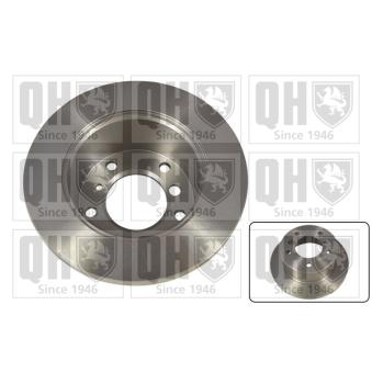 Jeu de 2 disques de frein arrière QUINTON HAZELL OEM 9024230412