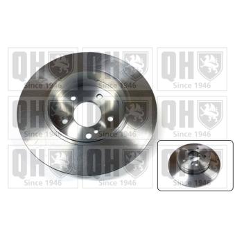 Jeu de 2 disques de frein arrière QUINTON HAZELL OEM 1244231012