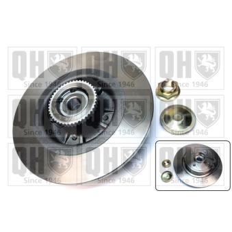 Jeu de 2 disques de frein arrière QUINTON HAZELL OEM 7701206328