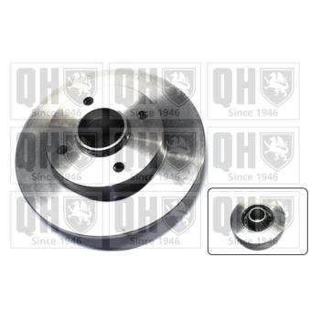 Jeu de 2 disques de frein arrière QUINTON HAZELL OEM 4246Z9
