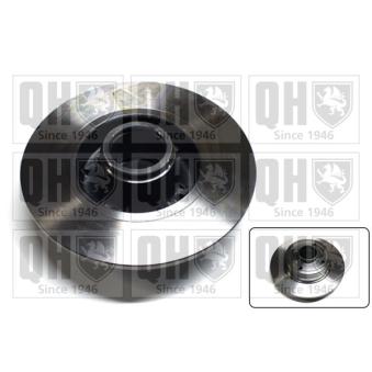 Jeu de 2 disques de frein arrière QUINTON HAZELL OEM 8200038305