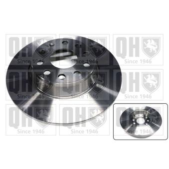 Jeu de 2 disques de frein arrière QUINTON HAZELL OEM 1K0615601M