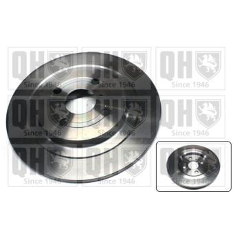 Jeu de 2 disques de frein arrière QUINTON HAZELL OEM 424310D060