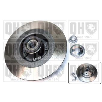 Jeu de 2 disques de frein arrière QUINTON HAZELL OEM 7701207898