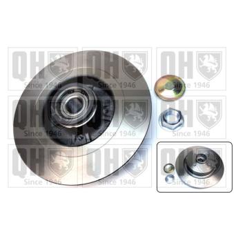 Jeu de 2 disques de frein arrière QUINTON HAZELL OEM 7701208230