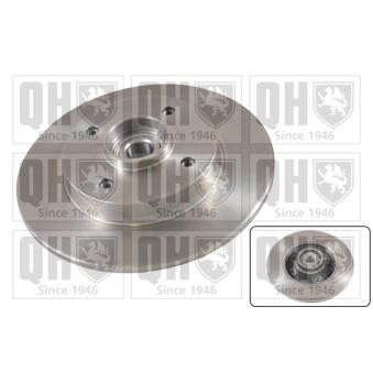Jeu de 2 disques de frein arrière QUINTON HAZELL OEM 4246Z9