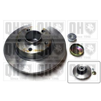 Jeu de 2 disques de frein arrière QUINTON HAZELL OEM 8200228610