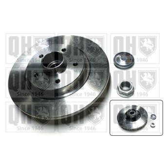 Jeu de 2 disques de frein arrière QUINTON HAZELL OEM 4154203300