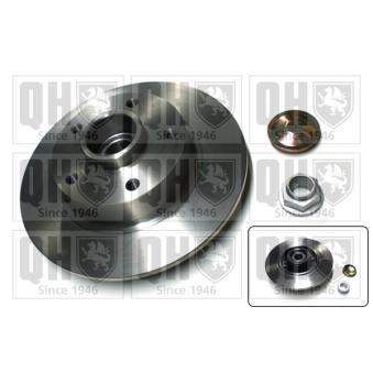 Jeu de 2 disques de frein arrière QUINTON HAZELL OEM 432006506R
