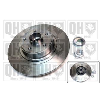 Jeu de 2 disques de frein arrière QUINTON HAZELL OEM 8200663193