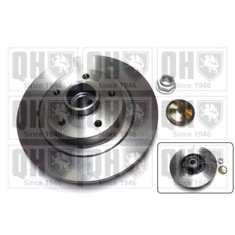 Jeu de 2 disques de frein arrière QUINTON HAZELL OEM 432020016R Jeu de 2 disques de frein arrière QUINTON HAZELL OEM 432020016R