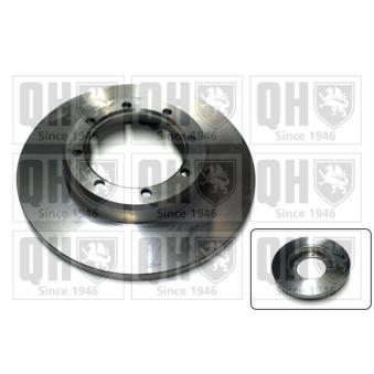 Jeu de 2 disques de frein arrière QUINTON HAZELL OEM 93168847