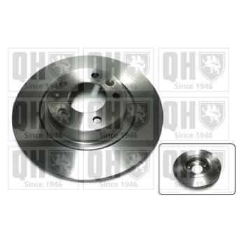 Jeu de 2 disques de frein arrière QUINTON HAZELL OEM 4249G2
