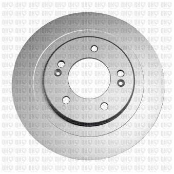 Jeu de 2 disques de frein arrière QUINTON HAZELL OEM 58411A6200