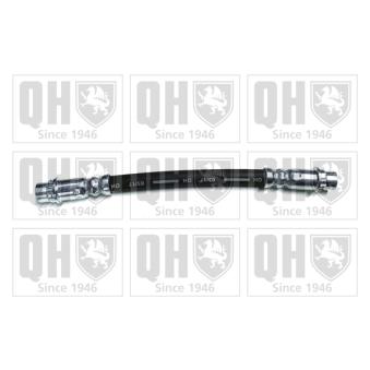 Flexible de frein QUINTON HAZELL BFH4908 pour FORD FOCUS 1.6 - 133cv