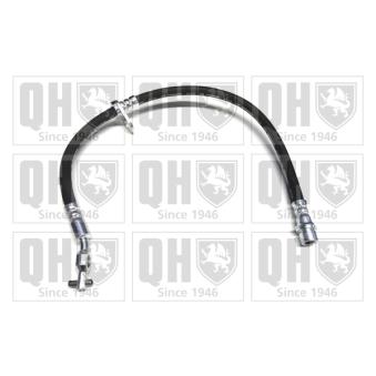 Flexible de frein QUINTON HAZELL OEM 9008094A60