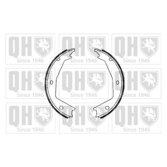 Jeu de mâchoires de frein, frein de stationnement QUINTON HAZELL OEM 9566926980