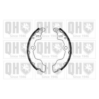 Jeu de mâchoires de frein QUINTON HAZELL OEM 5320076G51