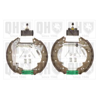 Kit de freins arrière (prémontés) QUINTON HAZELL [BS845K3]