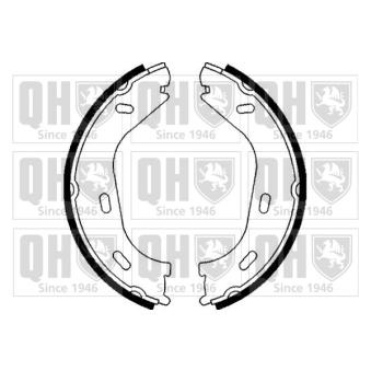 Jeu de mâchoires de frein, frein de stationnement QUINTON HAZELL OEM 1234200020